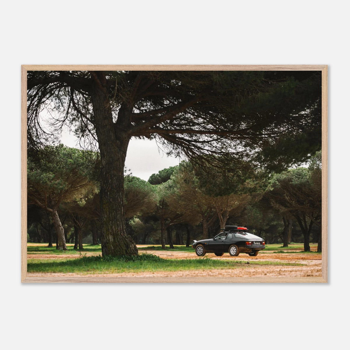ae9b011b-06bc-4c3a-a565-dc56c56bdcac